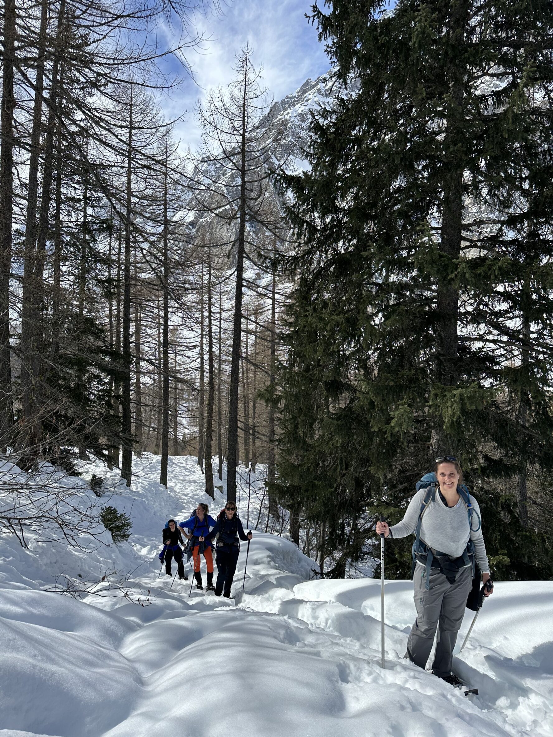 Hikers within trees in Mont Blanc