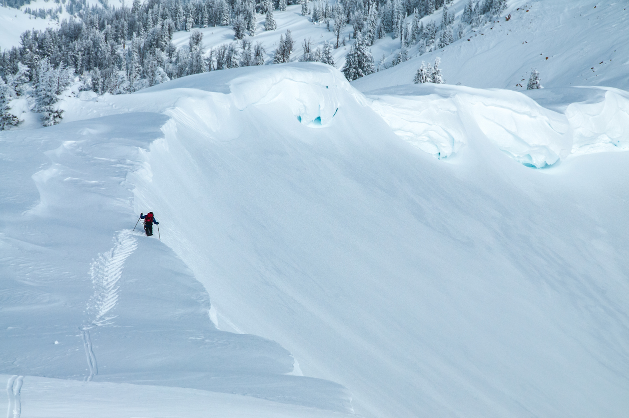 Jackson Hole and one skier