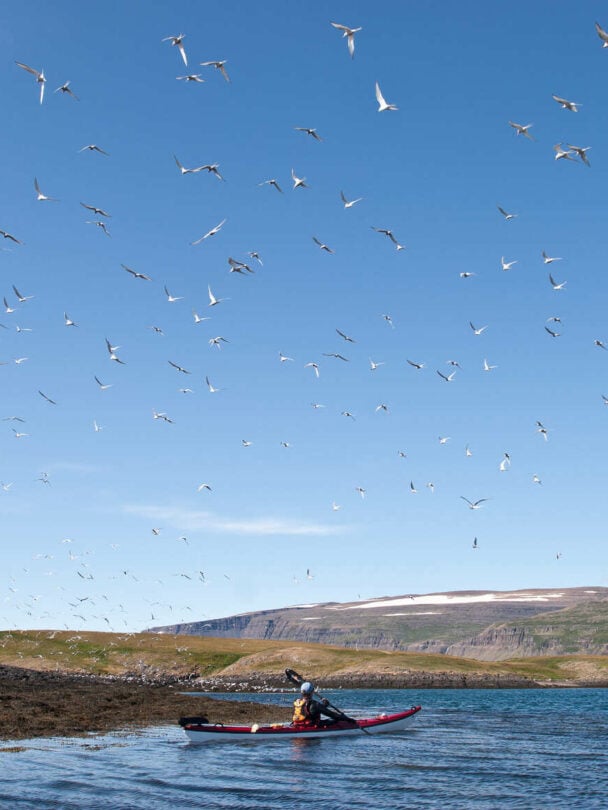 Kayak floating in Iceland