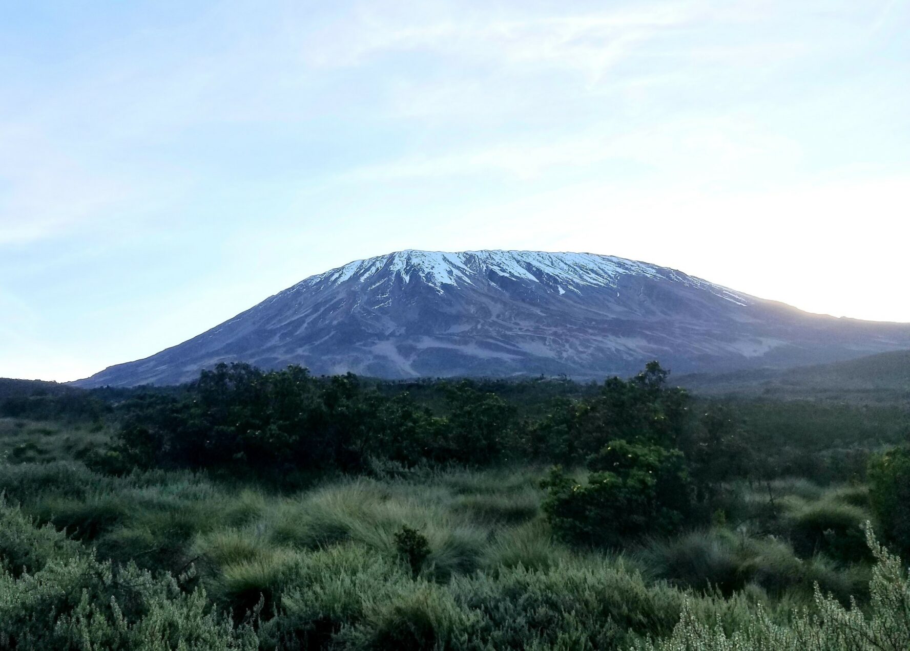 View of Kilimanjaro with a lush rainforest at its foot.