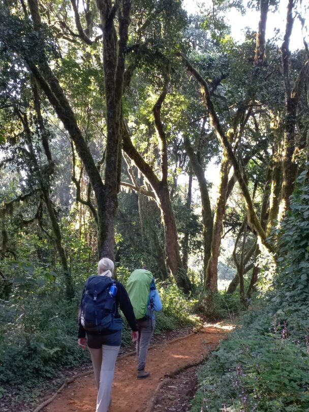 Women-Only Kilimanjaro Trek via Lemosho Route.