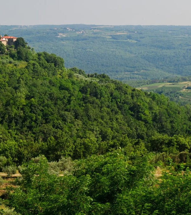 Mountain bikers on a trail in Istria, Croatia.