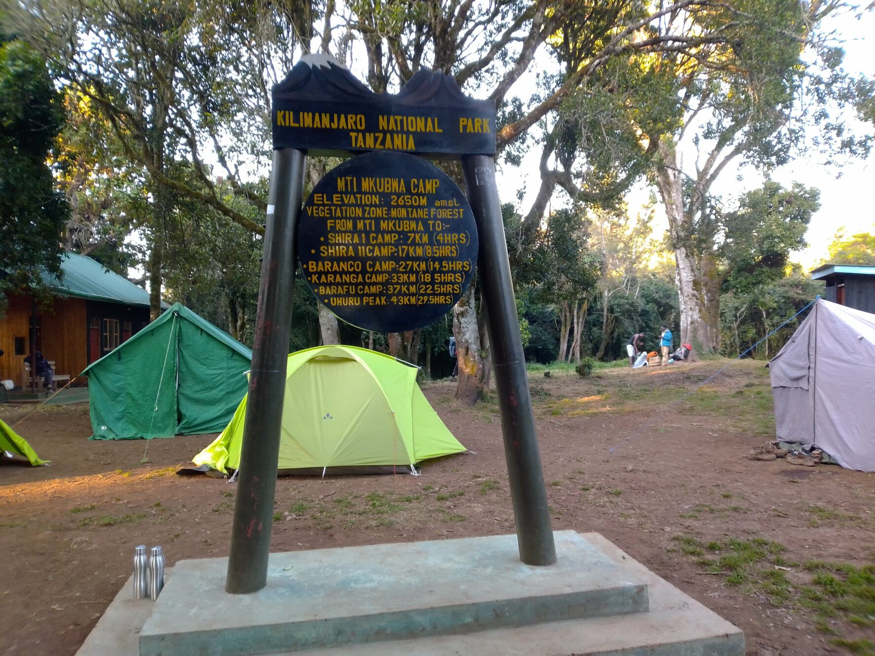 Mkubwa camp, Kilimanjaro.