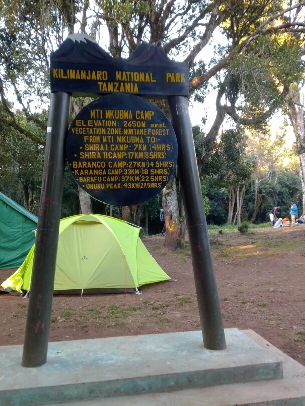 Women-Only Kilimanjaro Trek via Lemosho Route.
