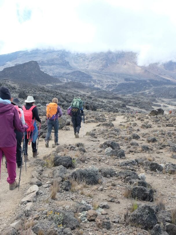 Women-Only Kilimanjaro Trek via Lemosho Route.