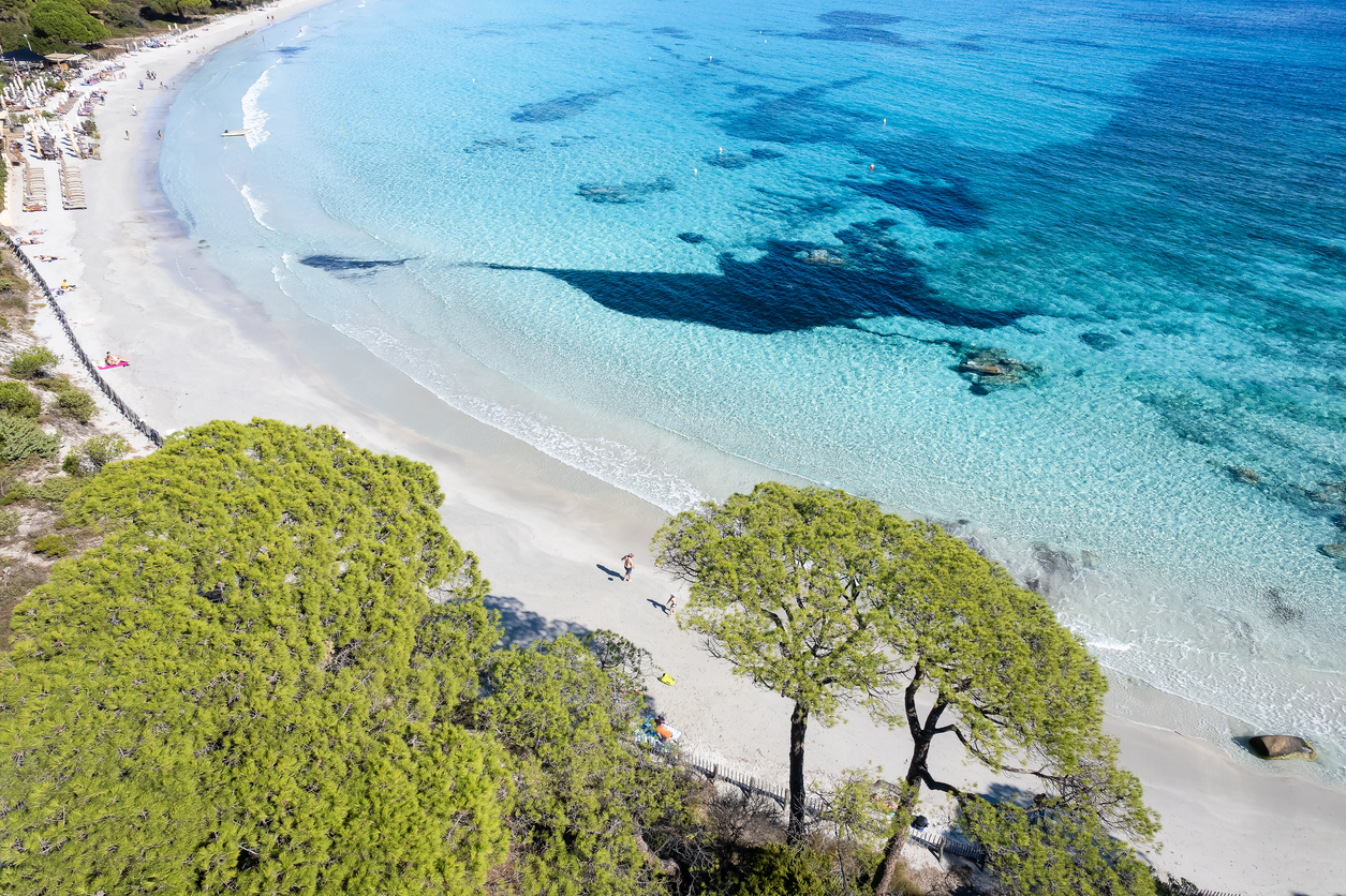 Palombaggia beach