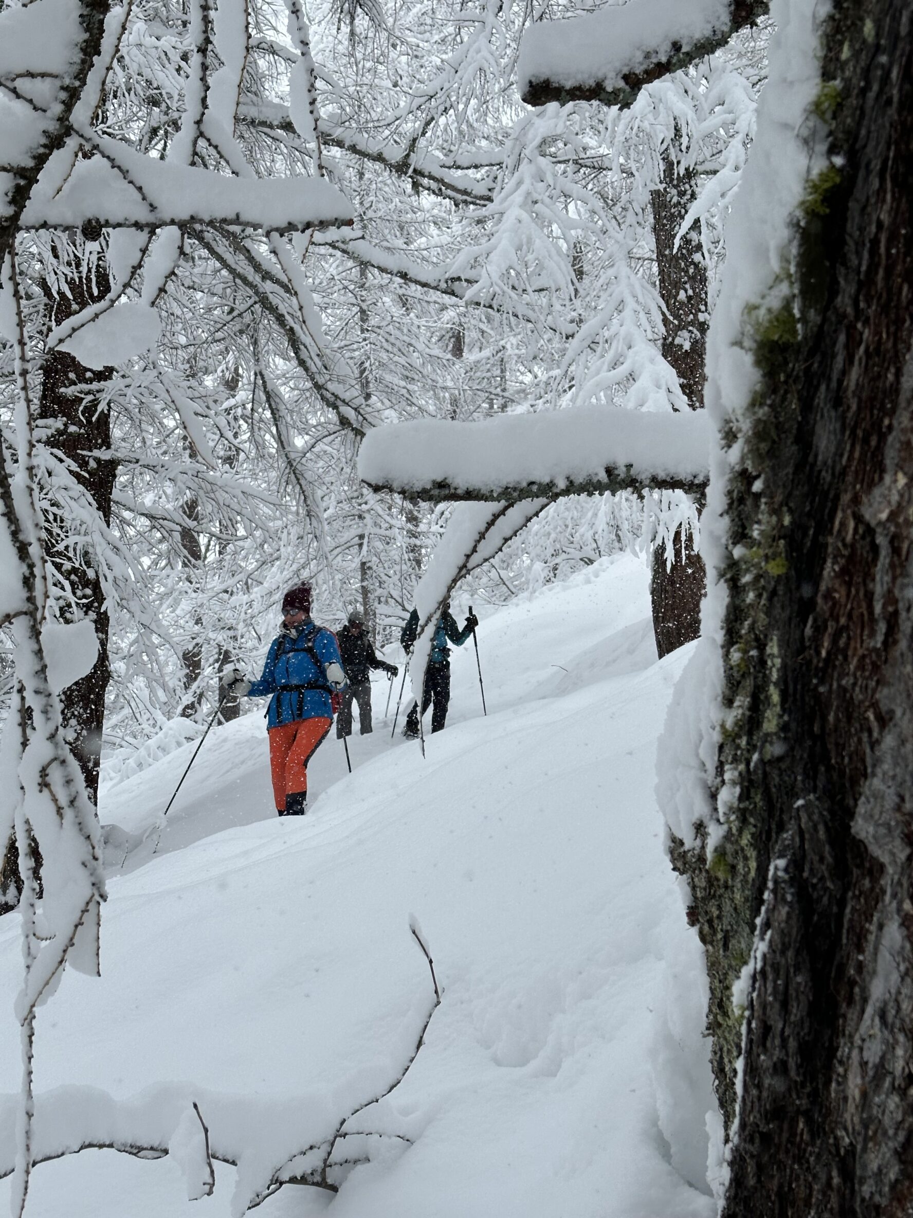 Several hikers snowshoeing