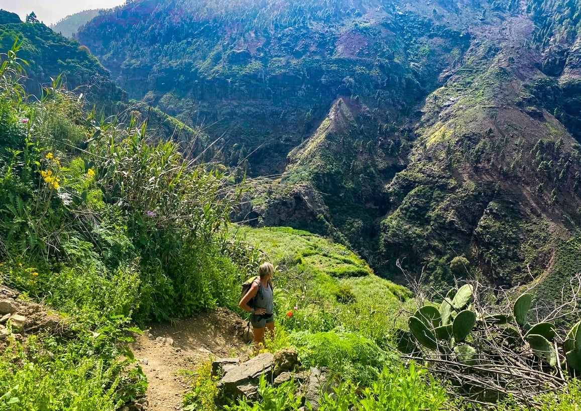A hiker walking along a steep overgrown path in the interior of Gran Canaria.