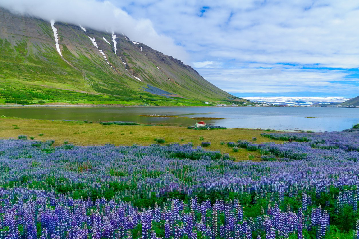 View of Isafjordur