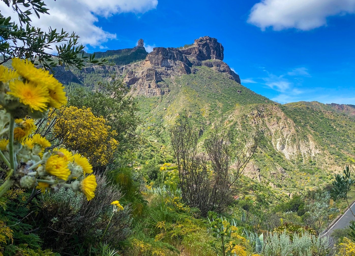 A hill with a lofty volcanic rock formation and wildflowers in the foreground.