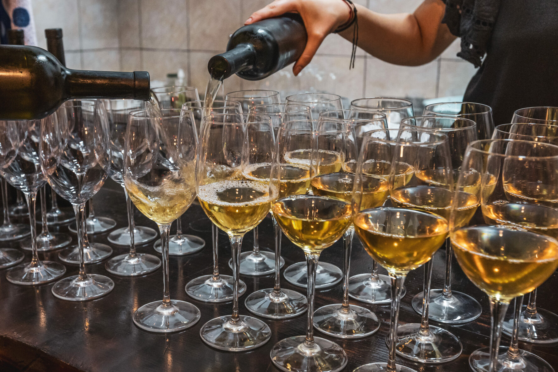 Wine tasting in Dalmatia