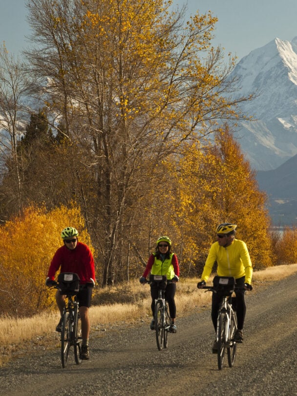 family trip new zealand