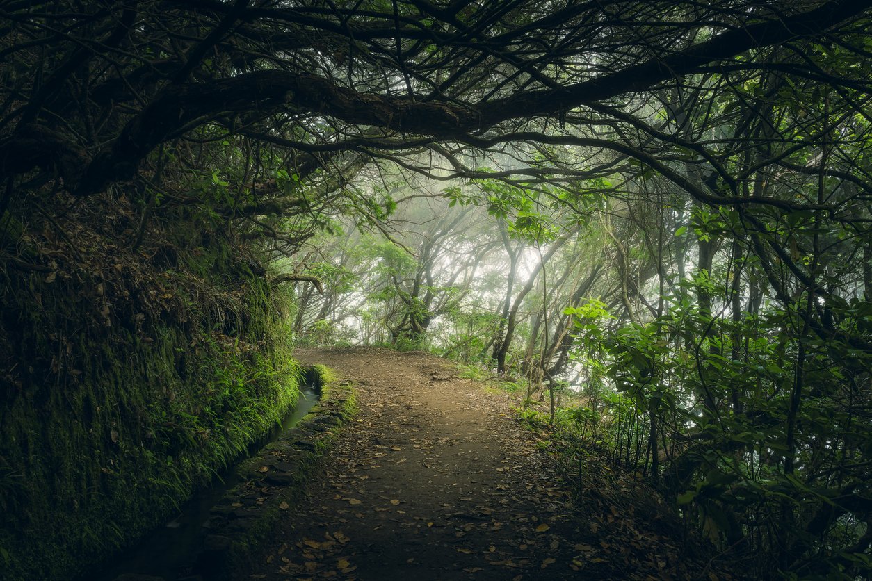View of Levada do Caldeirão Verde hiking trail in Madeira, Portugal, on a dark rainy day with fog