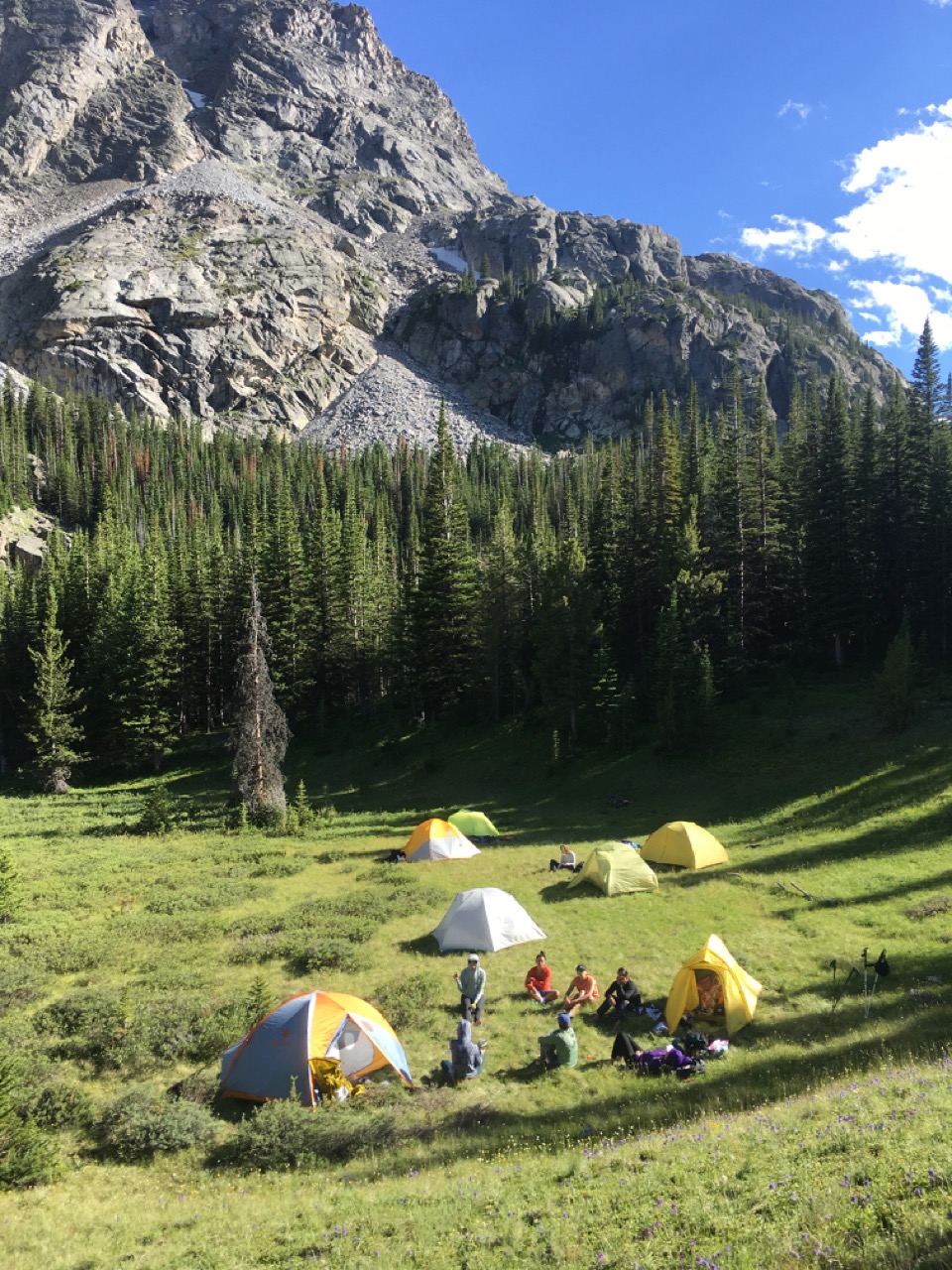 Camping spot in Beartooth
