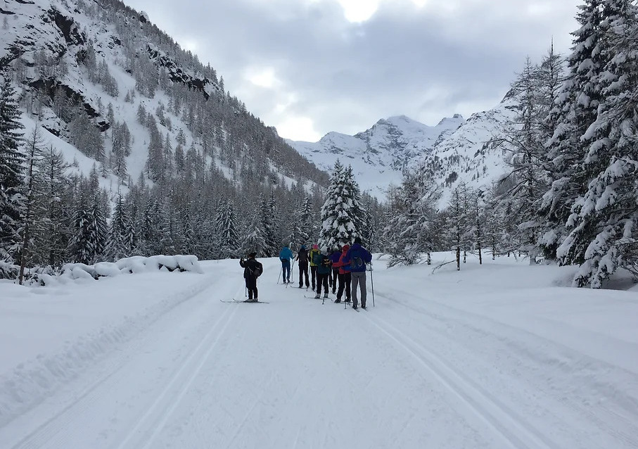 Cross-country skiers on a forest path in Italy’s Gran Paradiso National Park.