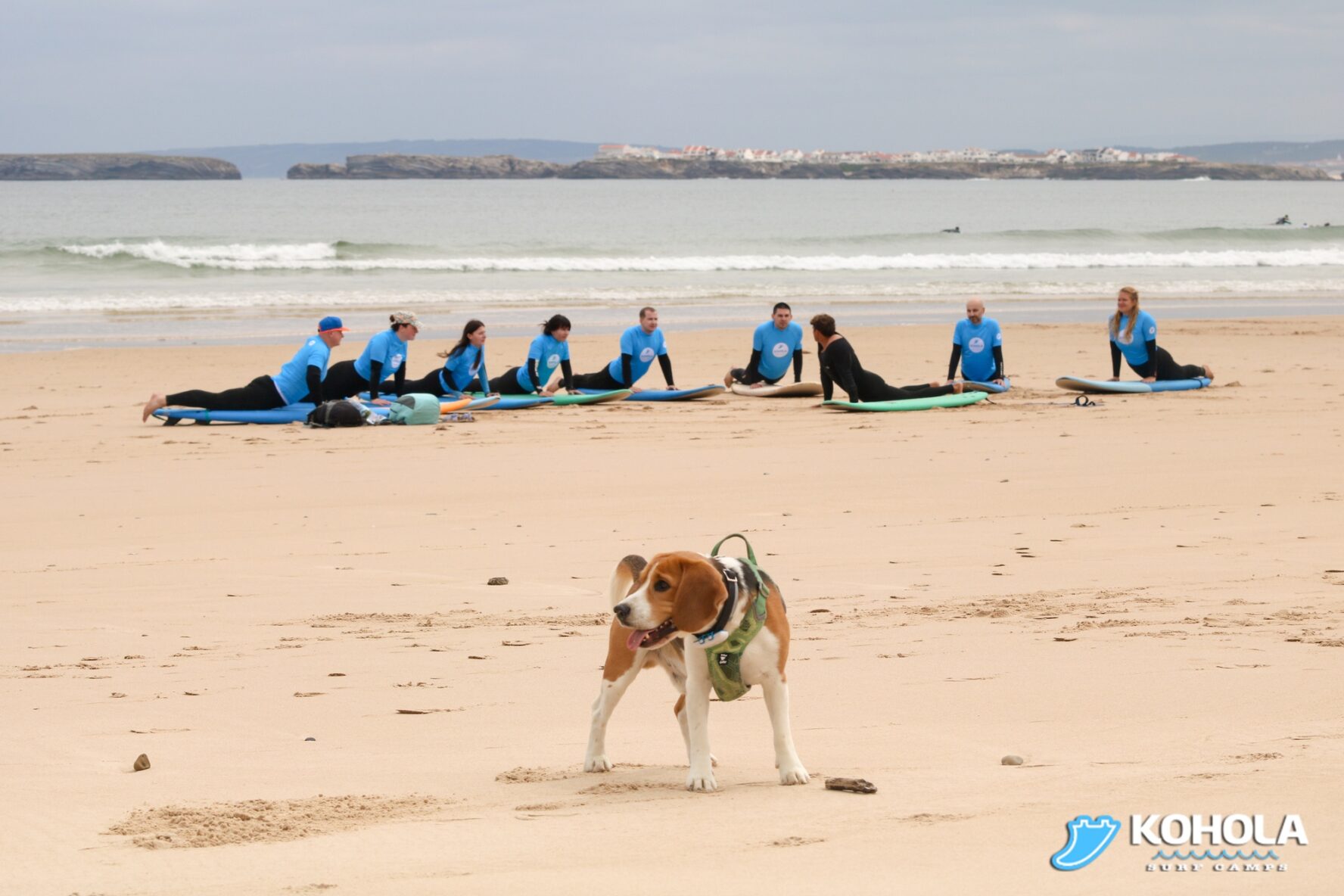 Dog and surfers in Peniche