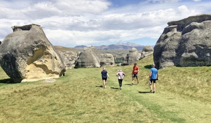 elephant rocks nz