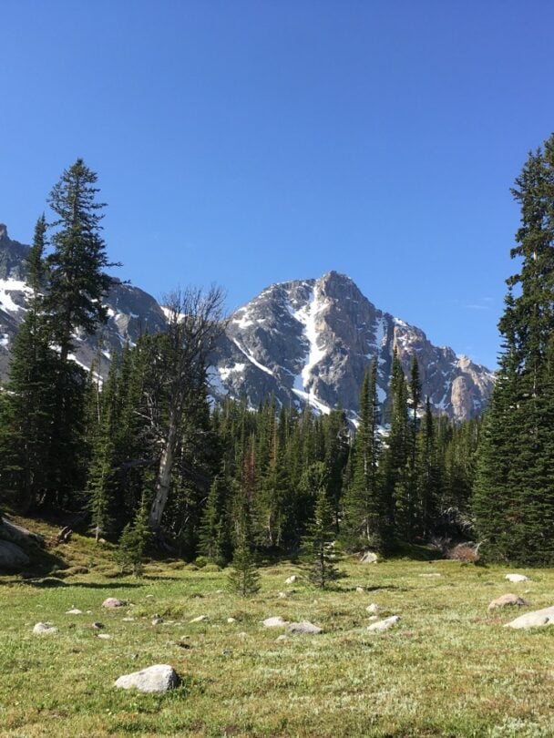 Happy hiker in Beartooth