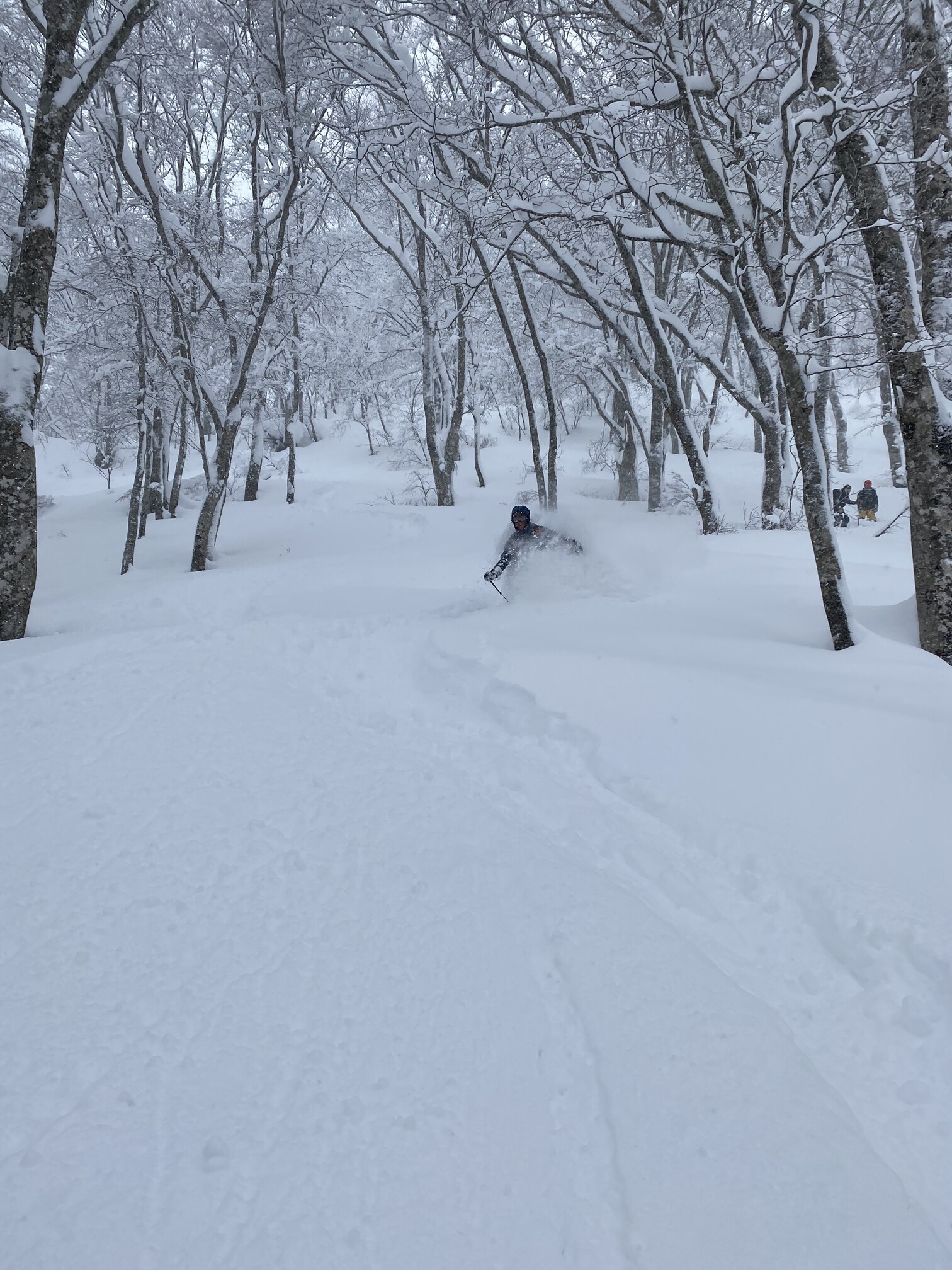 Shredding untouched snow on mountainside.