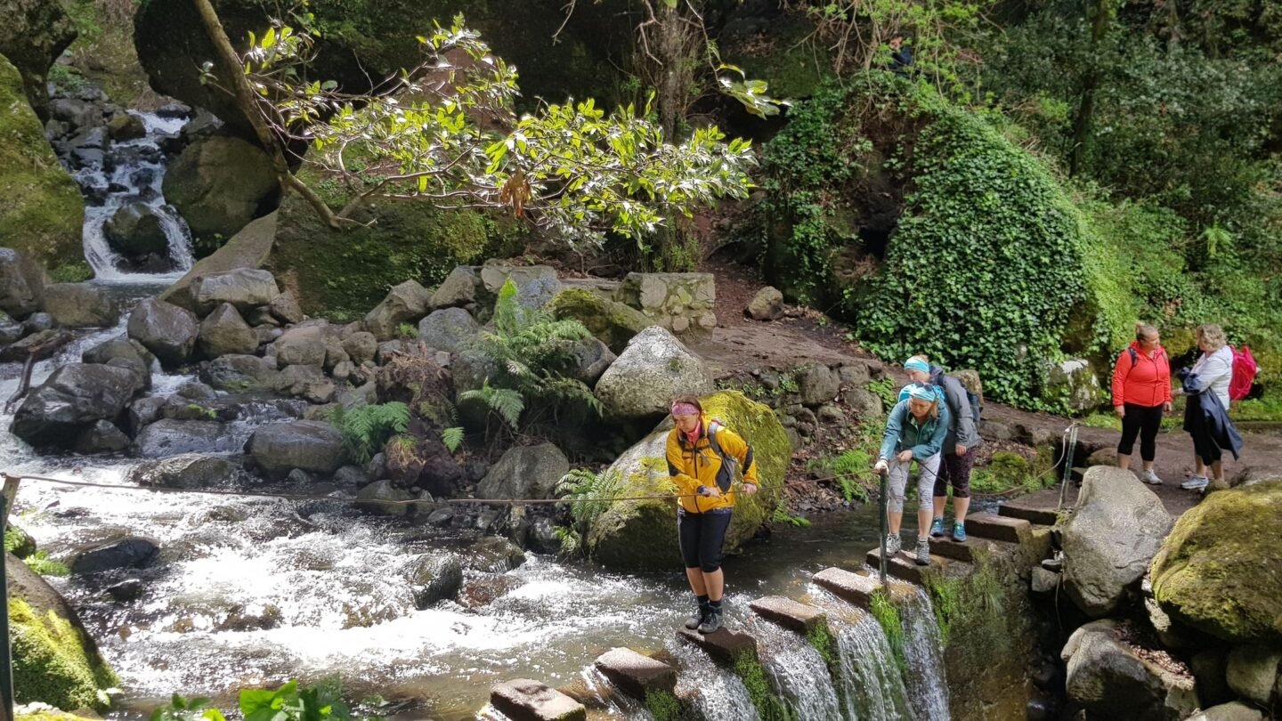 Holding onto rail Madeira