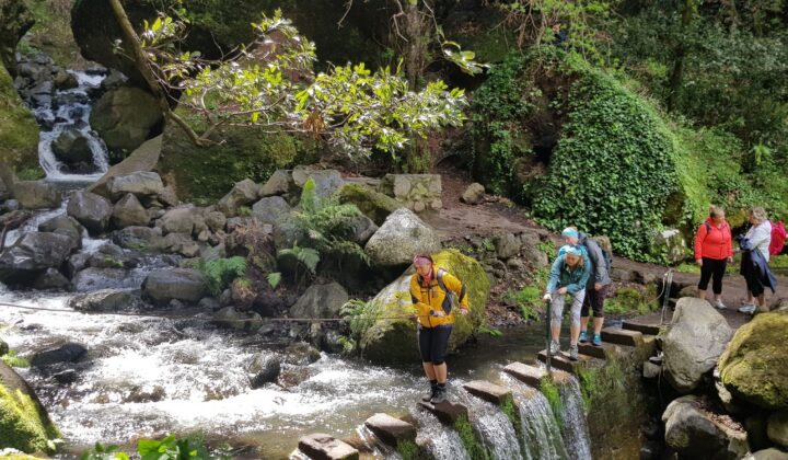 Holding onto rail Madeira