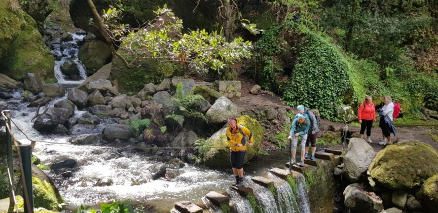Holding onto rail Madeira