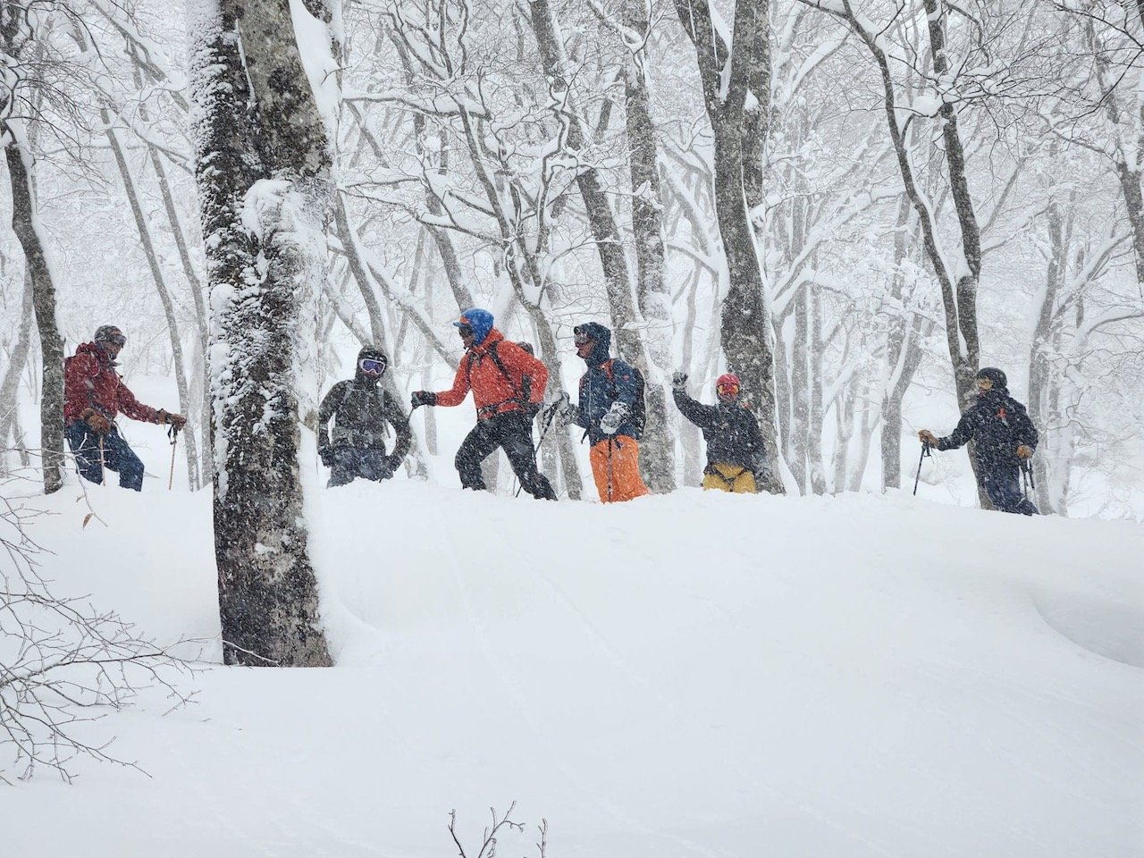 Japan group of skiers in the winter