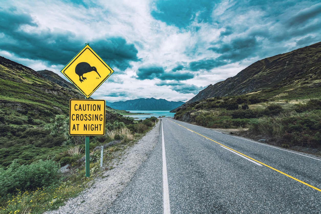A road in New Zealand used by cyclists with a kiwi crossing caution sign.
