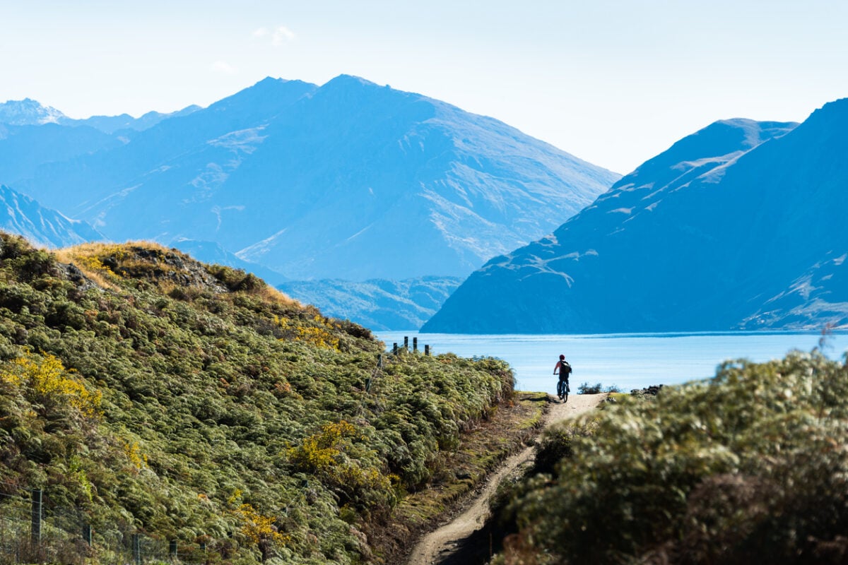 Lake Wanaka cycling tour