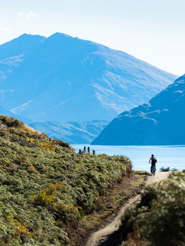Lake Wanaka cycling tour