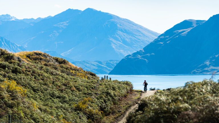 Lake Wanaka cycling tour