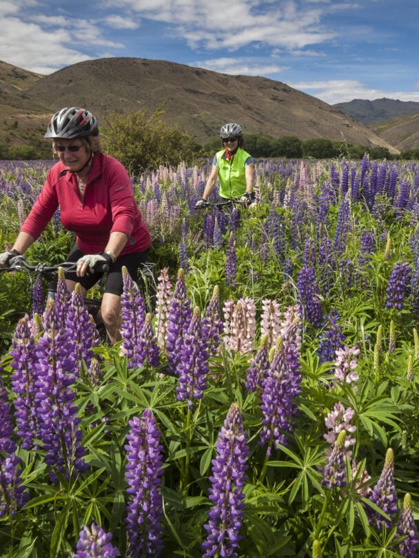 family trip new zealand