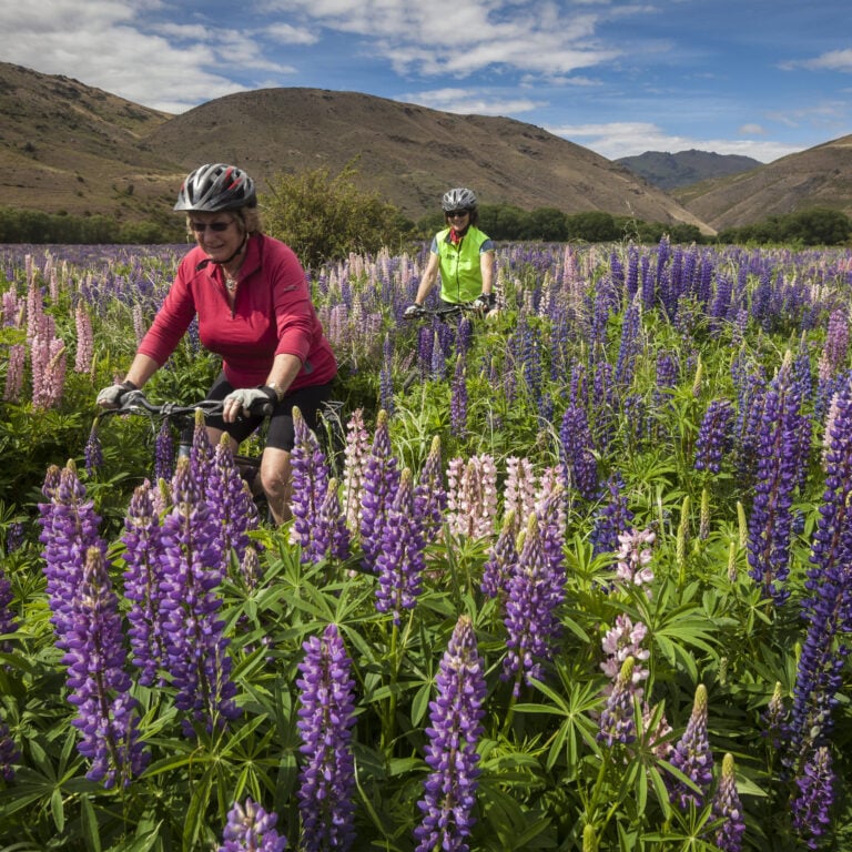 lindis pass cycling