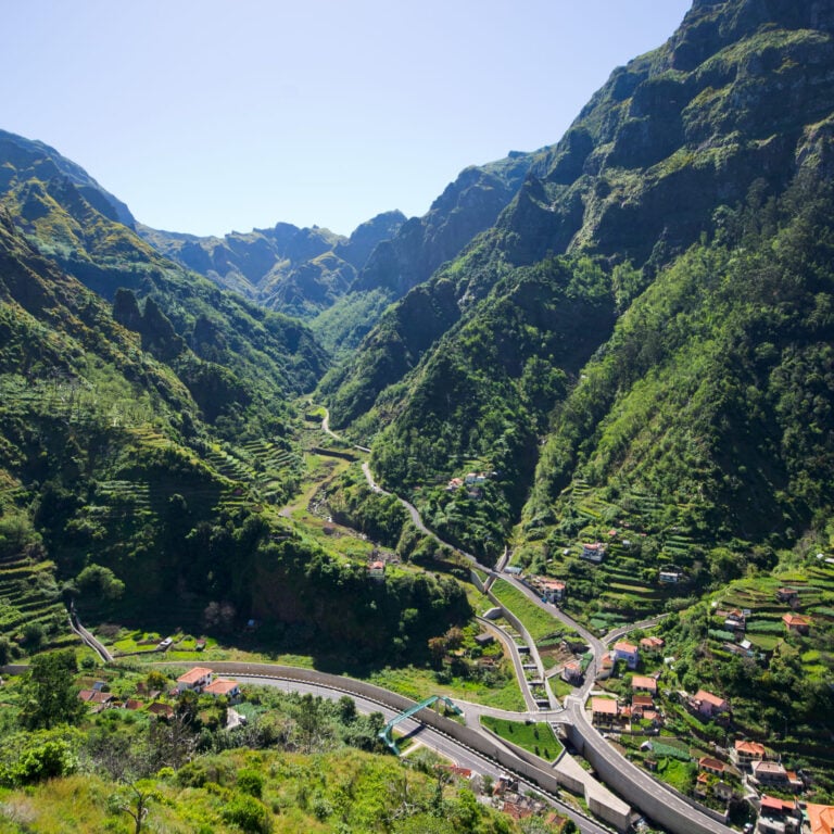 Madeira lush terraces