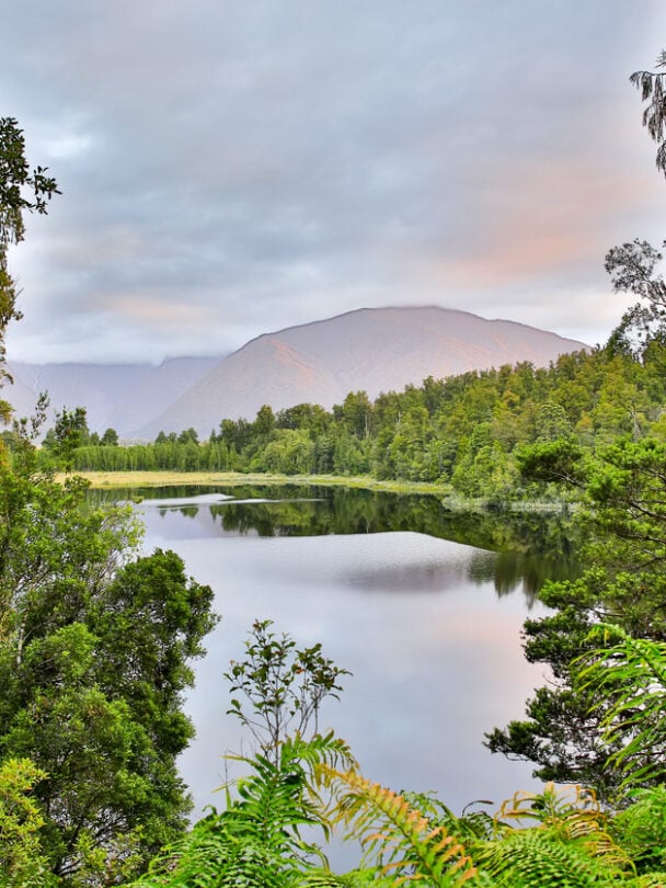 Great West Coast Cycle Adventure in New Zealand.