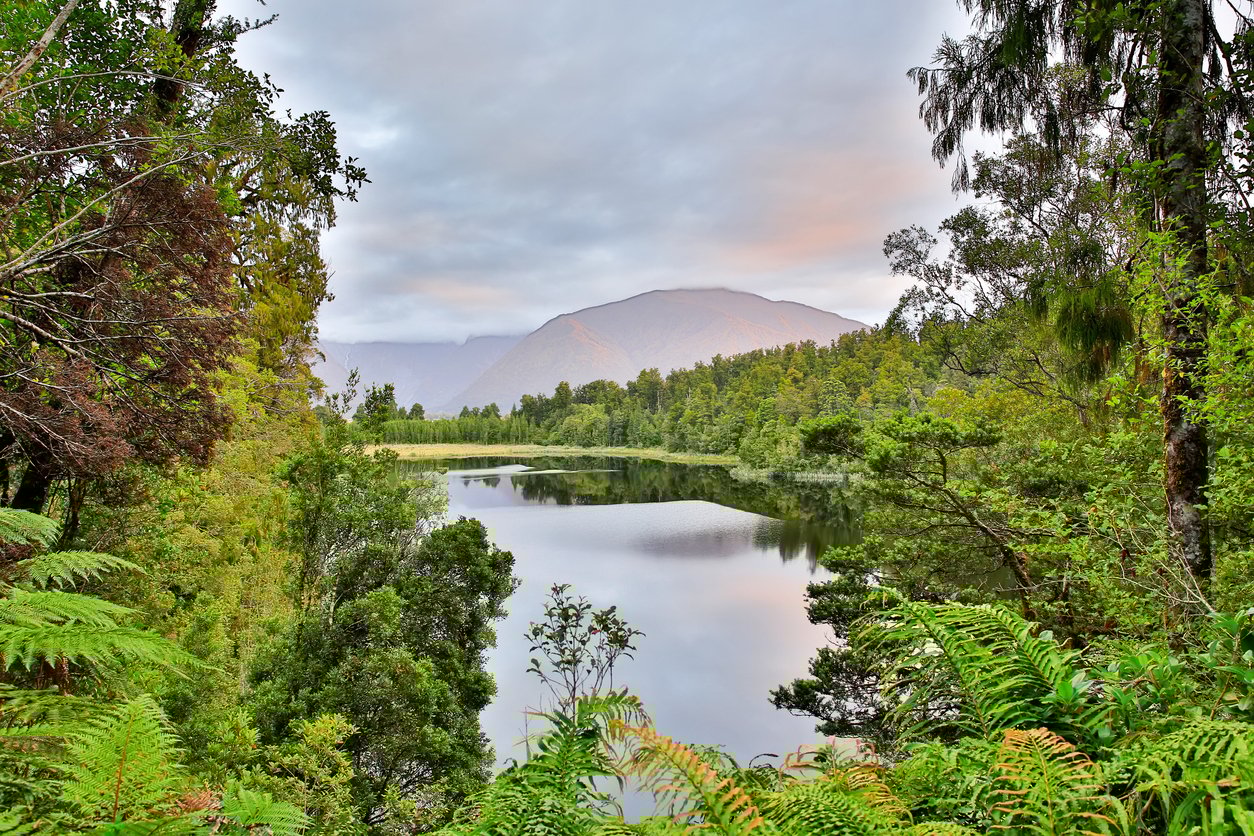 Moeraki lake, surrounded by a rainforest in New Zealand’s South Island, seen while on the Great West Coast cycle trail.