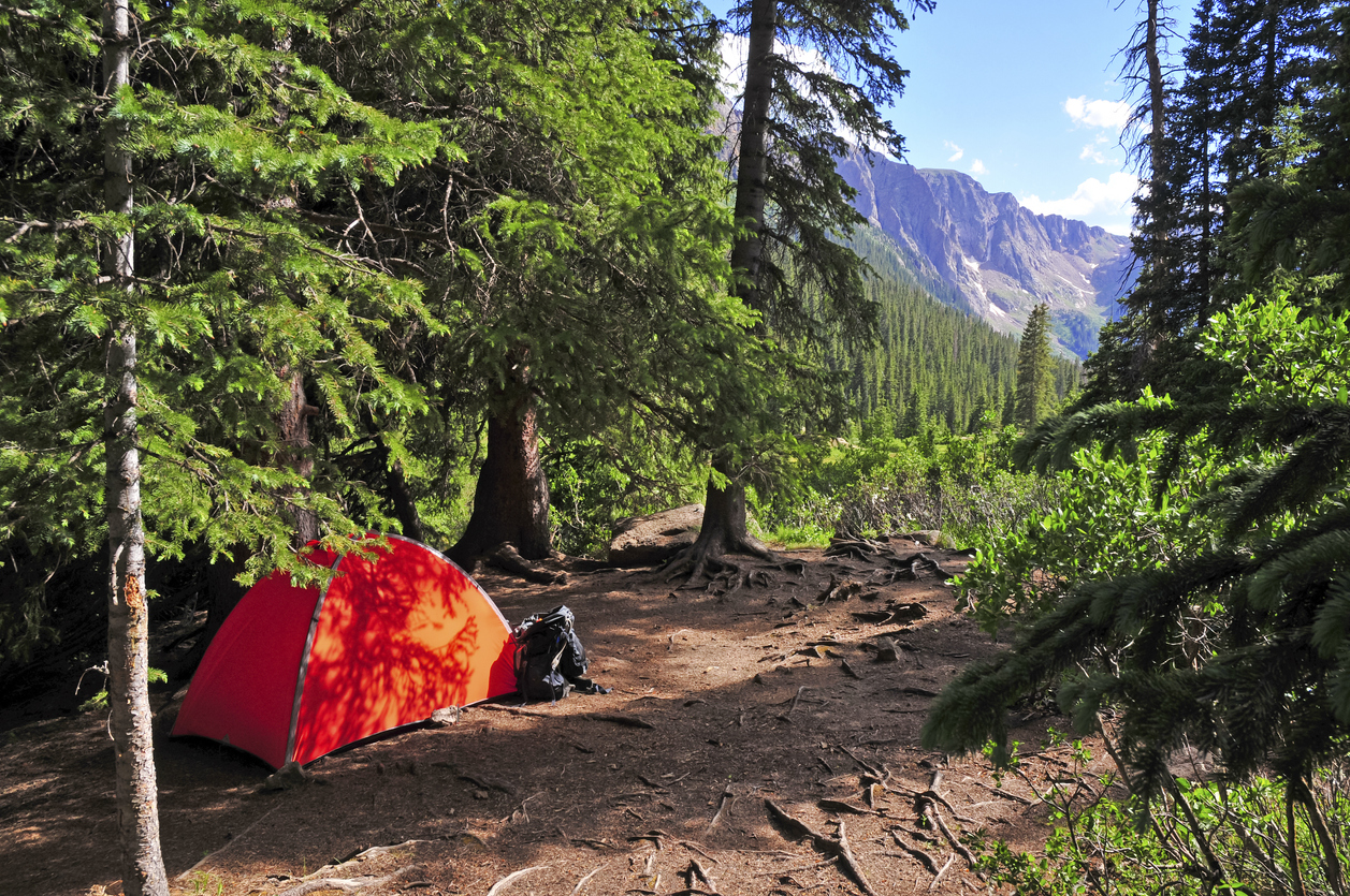 Pitched tent in the Beartooth