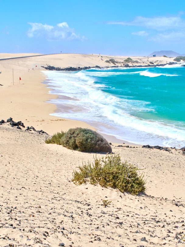 Week-Long Surfing Camp in Fuerteventura.