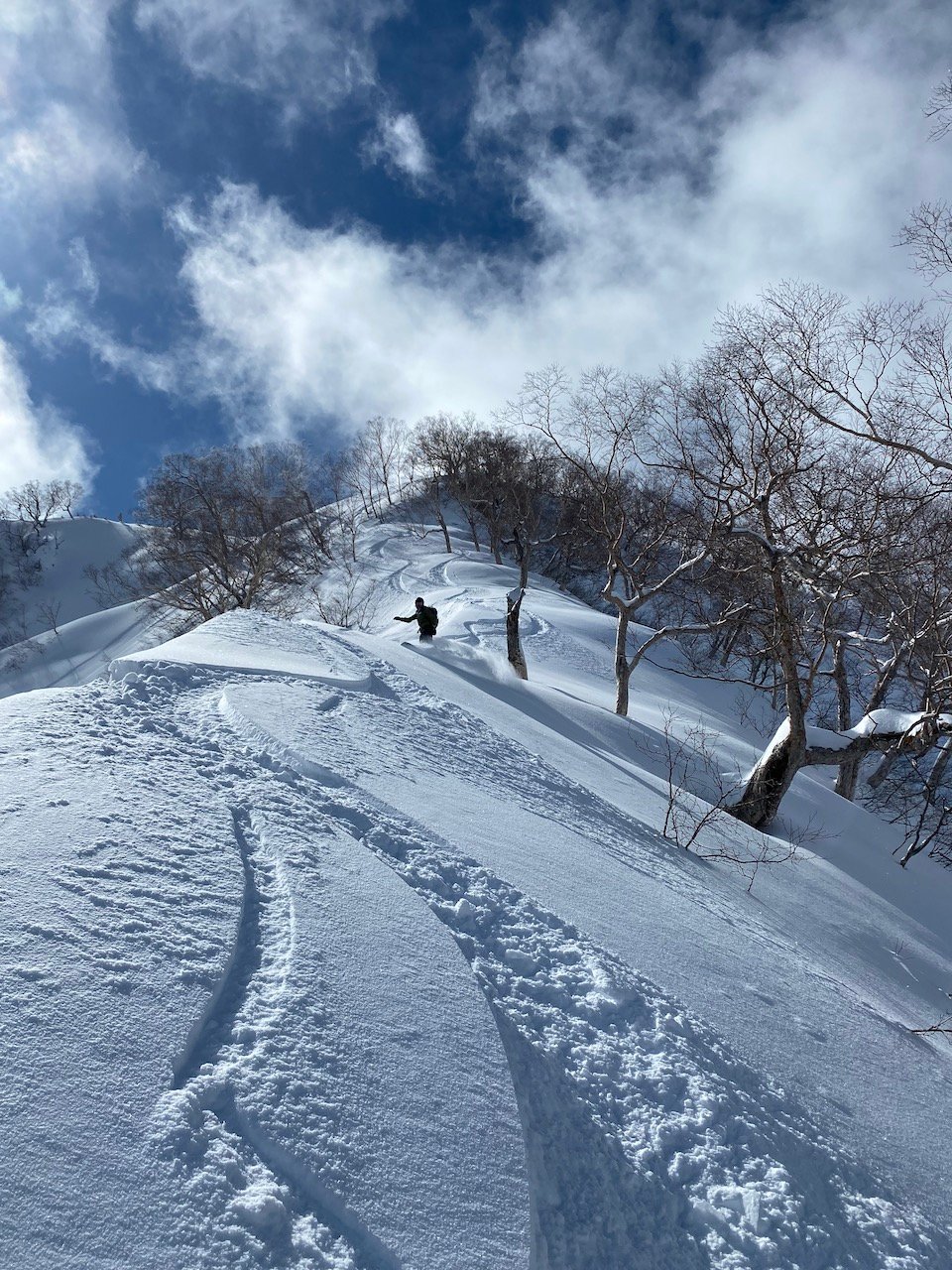 Skier carving powder in Japan