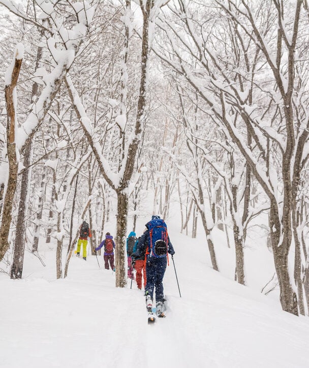 Backcountry skiing Japow