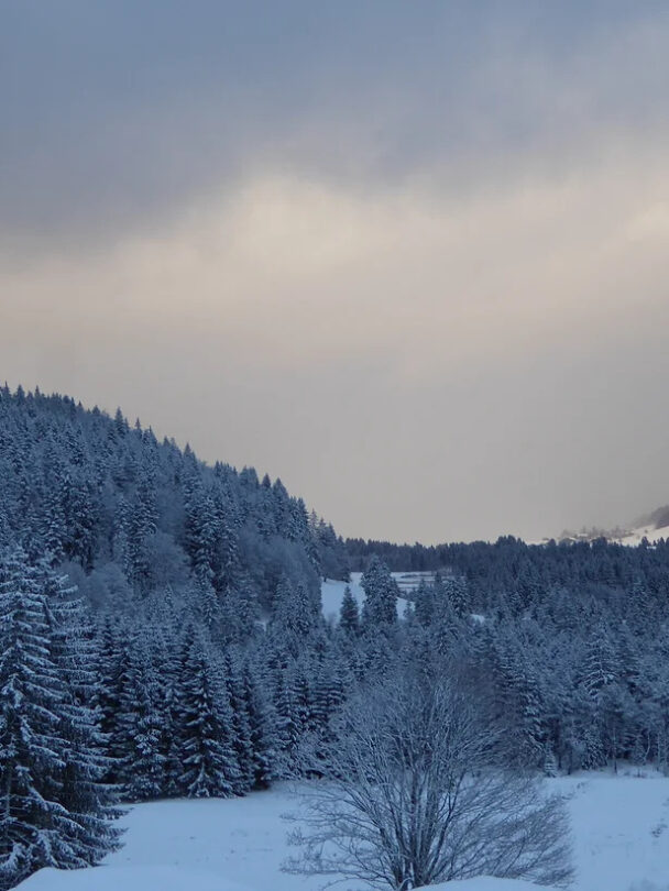 Guided Cross-Country Skiing Trip in Italy’s Gran Paradiso NP.