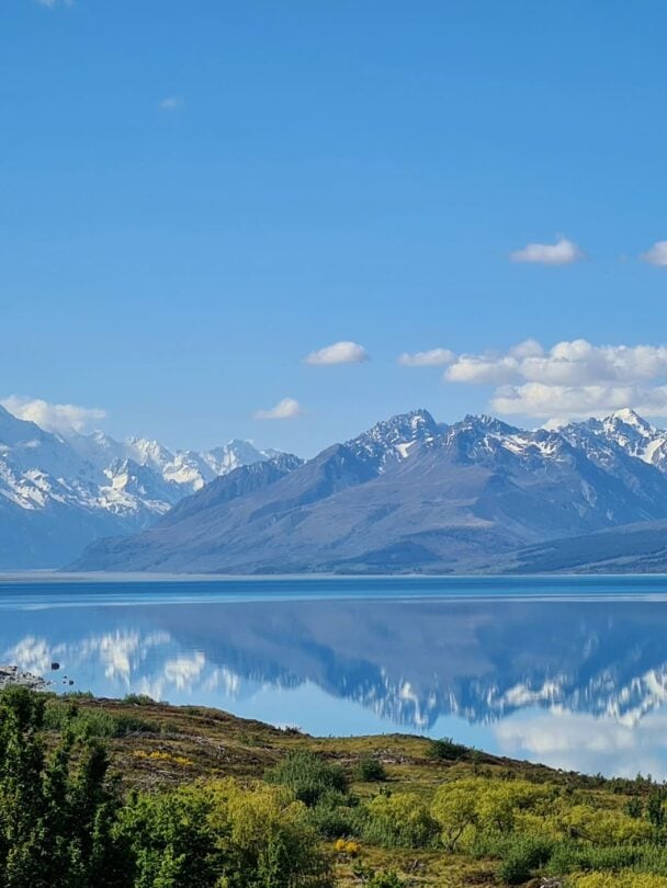 family trip new zealand