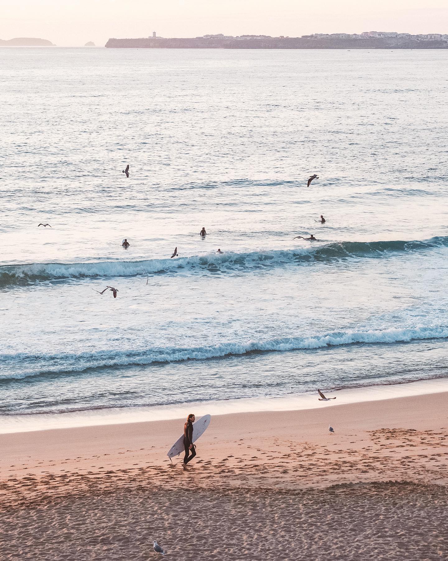 Surfer walking on the beach