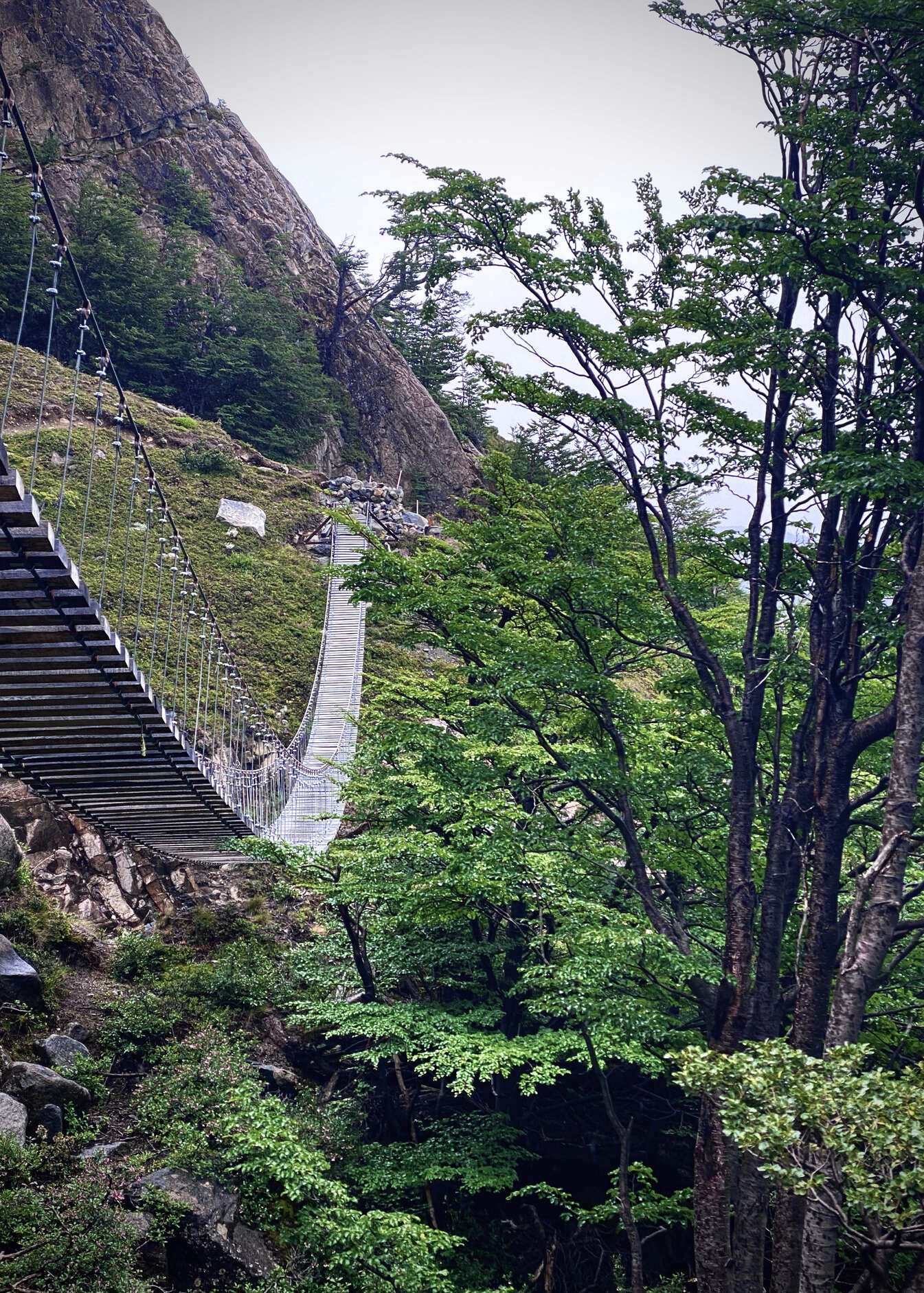Suspension bridge in Patagonia
