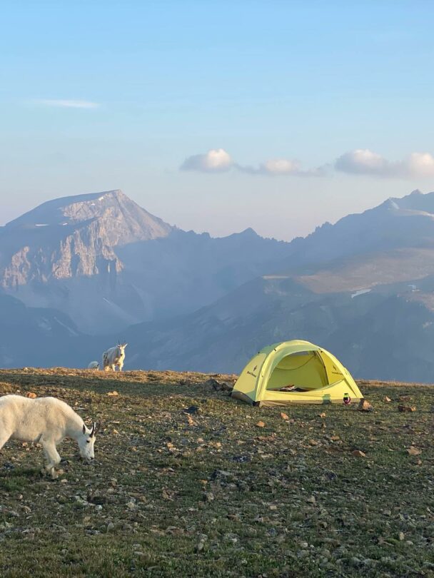 Happy hiker in Beartooth