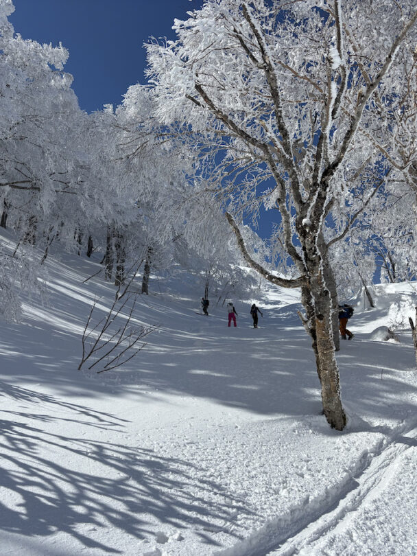 cloud japan snow