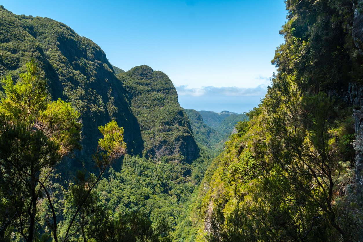 The views from the trekking trail on the cliffs at Levada do Caldeirao Verde, Queimadas, Madeira