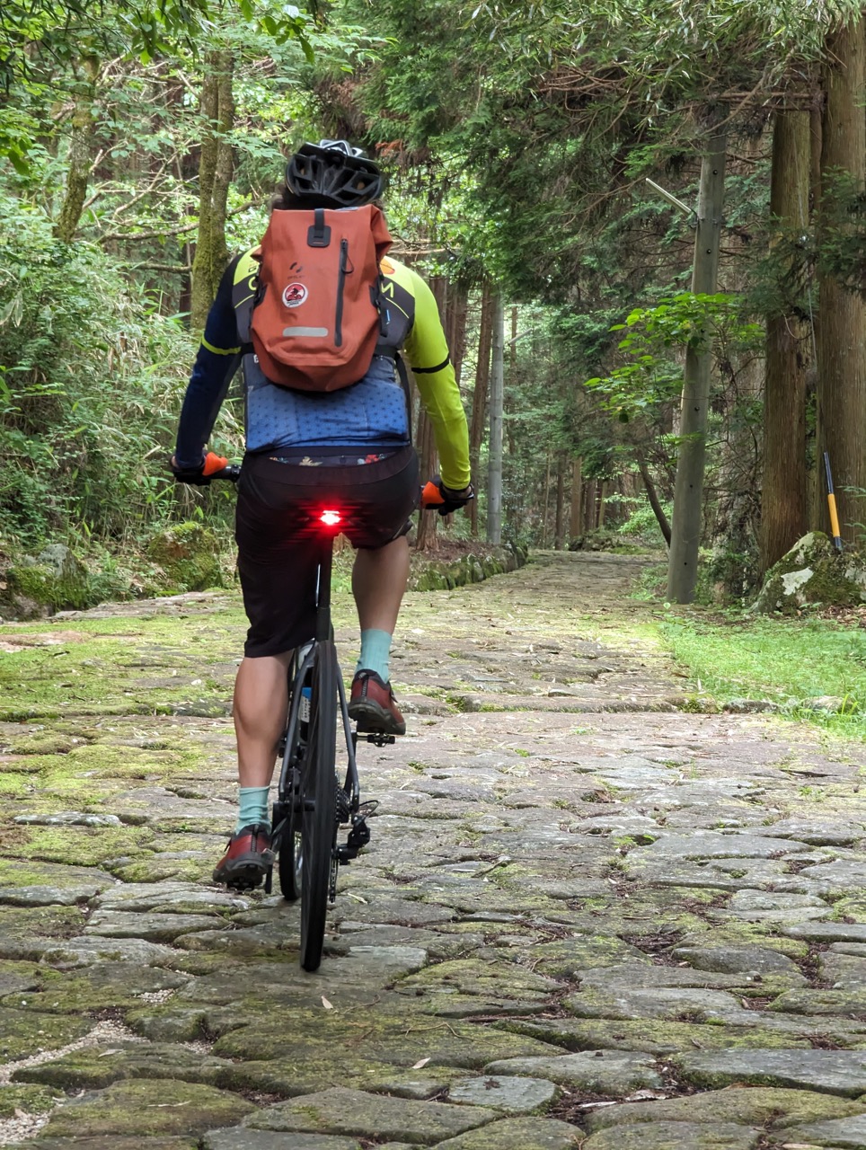 Cyclist in the forest of Nakasendo