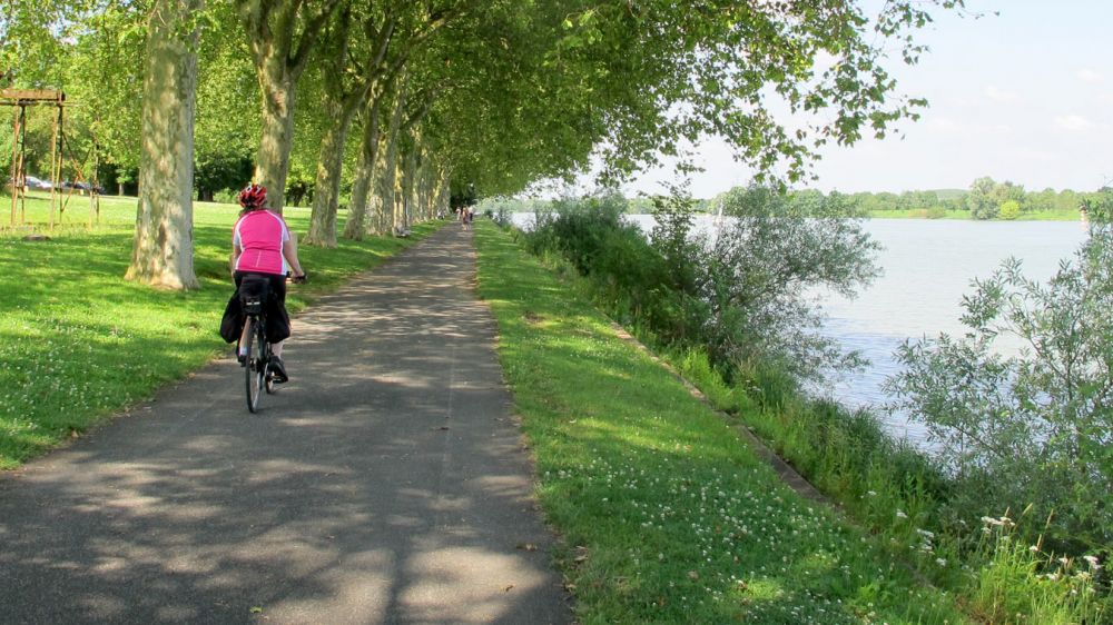 Cyclist in Macon along Saone