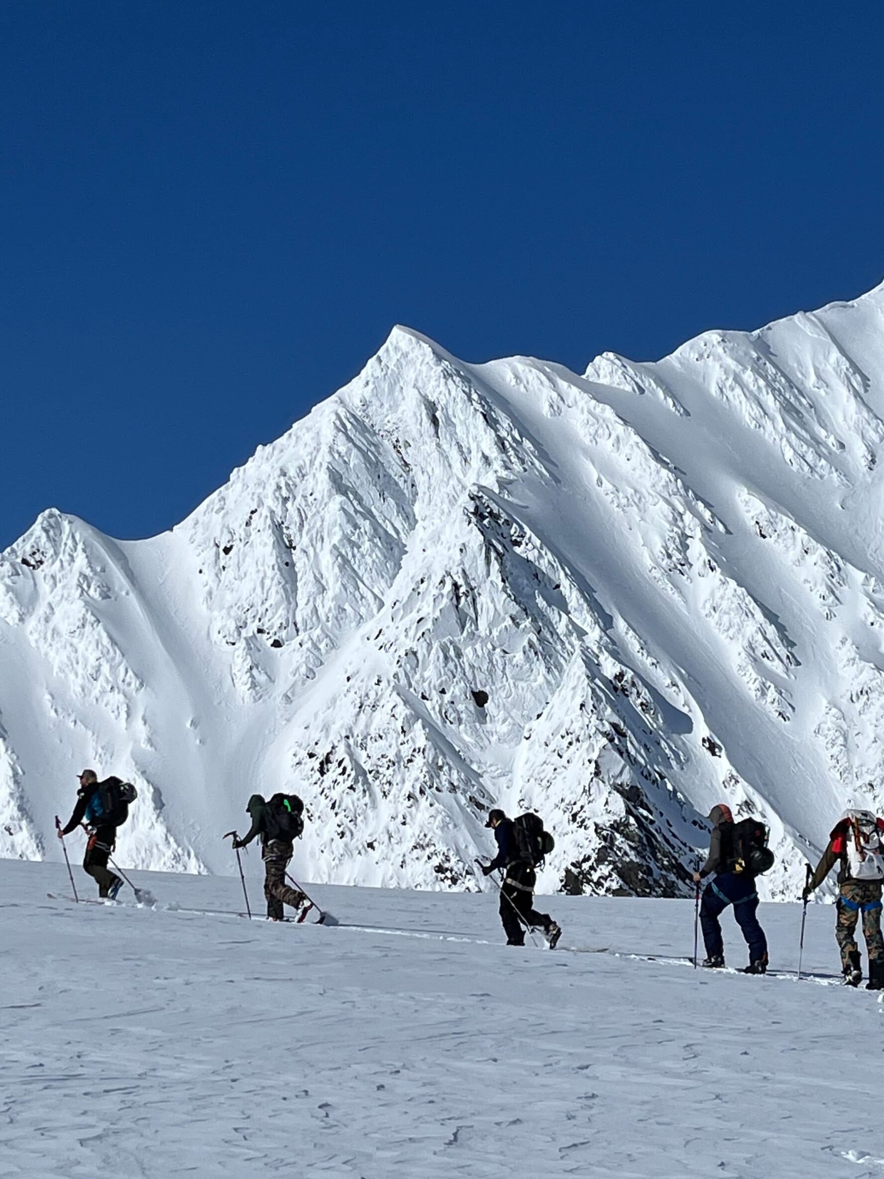 Group of skiers in Alaska